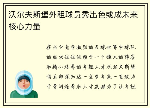 沃尔夫斯堡外租球员秀出色或成未来核心力量