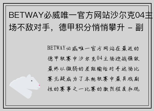 BETWAY必威唯一官方网站沙尔克04主场不敌对手，德甲积分悄悄攀升 - 副本
